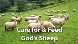 How to be a Sunday school teacher and Care for God's sheep