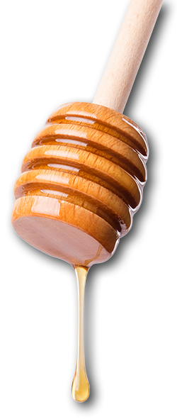 teaching the Bible using a Sticky Proverb